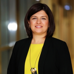 Ismihan Baysal Anderson is speaking at World Aviation Festival