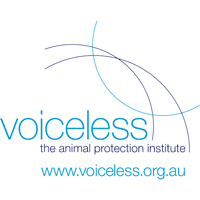 Voiceless at National FutureSchools Festival 2020