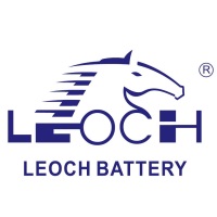 LEOCH EUROPE S.A. at The Electric Vehicles Show Africa 2020
