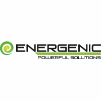 Energenic at The Electric Vehicles Show Africa 2020