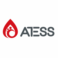 ATESS在电力，电力世界非洲2020