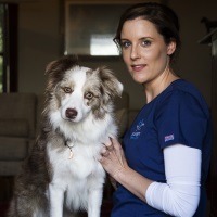 onderstepoort exotic vet