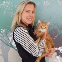 sash small animal hospital