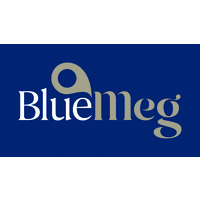BlueMeg at Accounting Business Expo