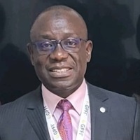 Mko Balogun | Group Chief Executive Officer | Global PFI Ltd » speaking at Power & Electricity