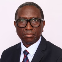 Hon. Peter Chibwe Kapala, Minister, Ministry of Energy