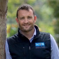 Dr Dave Collins, Small Animal Medicine Specialist - Director, Northside Veterinary Specialists