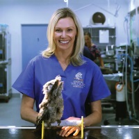 Dr Bree Talbot | Veterinarian | Avian Reptile and Exotic Pet Hospital » speaking at The VET Expo