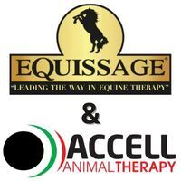 Equissage Therapy and Accell Therapy at The VET Expo 2022