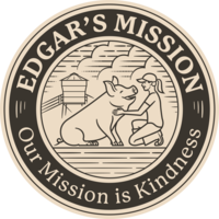 Edgar's Mission at EduTECH 2022