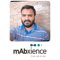 Dinesh Badhan | Head of Analytical Development | mAbxience » speaking at Festival of Biologics