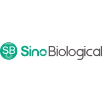 Sino Biological Europe GmbH at Festival of Biologics Basel 2022