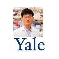 Sidi Chen | Assistant Professor | Yale University » speaking at Festival of Biologics USA