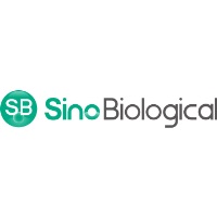 Sino Biological Europe GmbH at Advanced Therapies 2023