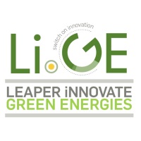 Leaper Innovate Green Energies (Pty) Ltd at The Solar Show Africa 2023