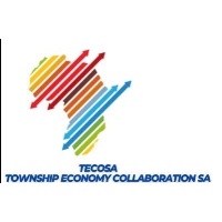Township Economy Collaboration SA at The Solar Show Africa 2023