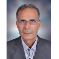 ABDEL-Rahim Dohina | Associate professor | Faculty of Engineering, Mansoura University » speaking at Solar Show MENA 2023