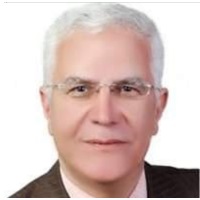 Mohy Saad Mansour | Chairman & Managing Director | Egyptian Renewable Energy Society » speaking at Solar Show MENA 2023