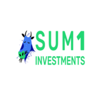Sum1 Investments at Seamless Africa 2024