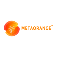 Metaorange Digital at Tech in Gov 2023