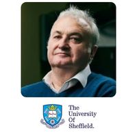 David James, Professor, University of Sheffield