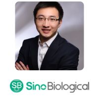 Jing Gong | Inside Sales Manager | Sino Biological Europe GmbH » speaking at Festival of Biologics