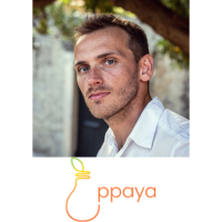 Joel Llewellyn-Eaton | Business Development Manager | PPAYA Limited » speaking at Solar & Storage Live