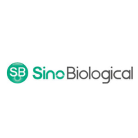 Sino Biological, sponsor of Festival of Biologics San Diego 2024