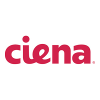 Ciena at Connected America 2025