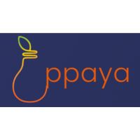 PPAYA Limited at Solar & Storage Live London 2024