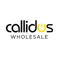 Callidus Wholesale at Solar & Storage Live London 2024