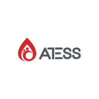 Atess Power Technology Co., Ltd at The Future Energy Show Africa 2024