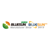 Bluesun Solar Co.,Ltd. at The Future Energy Show Africa 2024