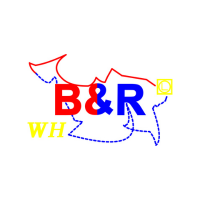 WUHAN B&R INTERNATIONAL CO., LTD. at The Future Energy Show Africa 2024