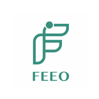 Yueqing Feeo Electric at The Future Energy Show Africa 2024