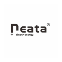 Neata New Energy Technology at The Future Energy Show Africa 2024