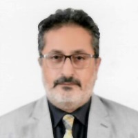 Amgad Elhewehy | Undersecretary, Head of Studies, Research and Testing Sector | New & Renewable Energy Authority » speaking at Solar & Storage Live MENA