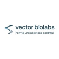 Vector Biolabs at Advanced Therapies USA 2024