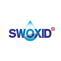 Swoxid at Future Labs Live 2024