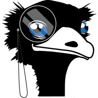 Emu Analytics at MOVE 2024