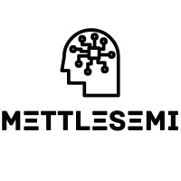 Mettlesemi Systems and Technologies Private Limited at Seamless North Africa 2024