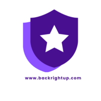 Backrightup, exhibiting at Tech in Gov 2024