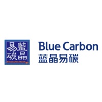 Blue Carbon Technology INC. at Solar & Storage Live Vietnam 2024