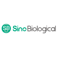 Sino Biological Europe GmbH at Festival of Biologics Basel 2024