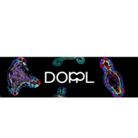 Doppl SA at BioTechX Europe 2024