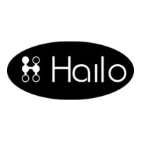 Hailo Solutions at World Passenger Festival 2024