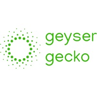 Geyser Gecko at Solar & Storage Live Cape Town 2024