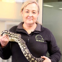 Tania Bishop, Wildlife Veterinarian, WIRES Wildlife Rescue