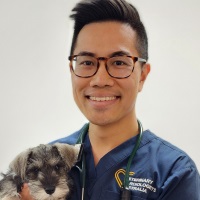 Christopher Lam, Registered Specialist in Veterinary Cardiology, BA BVSc (Hons) DACVIM (Cardiology), Veterinary Specialist Services