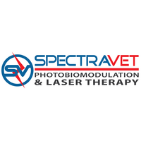 SpectraVET Therapeutic Lasers at The VET Expo 2024